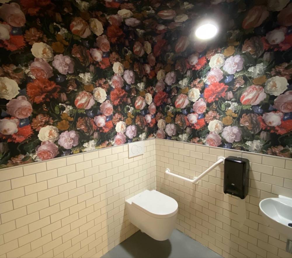 peinture toilettes